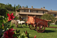 Farm stay Il Carro del Colle photo 5