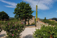 Fattoria del Nonno Berto photo 4