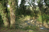 Il Bevaio di Corleone photo 2