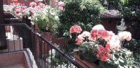 Gioia Guest House photo 2