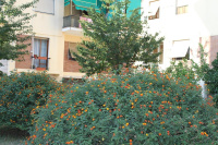 La Perla Affittacamere photo 3