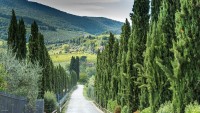 Agriturismo I Pini photo 3