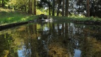 Convento di Acqua Premula photo 3