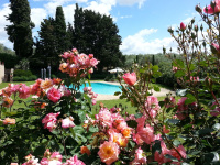 Relais Pian di Vico- Guest House photo 4