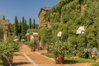 Agriturismo La Sovana photo 4