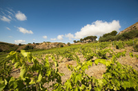 Feudo del Biviere photo 3