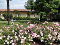 Agriturismo La Borina photo 2
