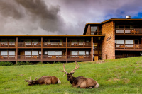 YMCA of The Rockies Estes Park photo 2