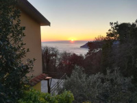 I TRE GRAPPOLI photo 4