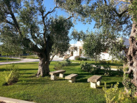 Willaria country house photo 5