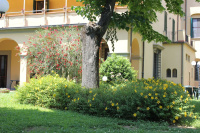 Villa La Stella - Casa per Ferie photo 3