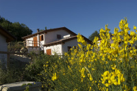 La Valle Dei Caprioli - B&B photo 2