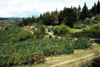 Relais La Torre photo 3