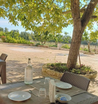 Tenuta Vigna Del Noce photo 2