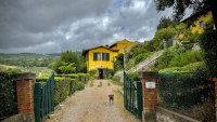 Villa di Campolungo Agriturismo photo 5