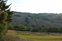 Agriturismo il Palagetto photo 3