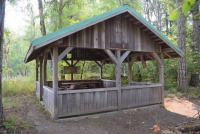 Twin Maples photo 3