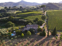 La Falconara photo 2