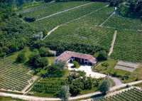 La Giribaldina Winery & Farmhouse photo 4