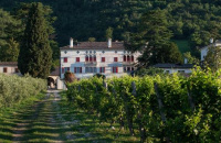 Villa Premoli - Dimora storica del XVII secolo photo 2