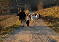 Azienda Agricola I Colli di Marliano photo 2