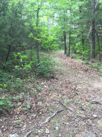Cherokee mountain log cabin resort photo 2
