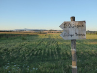 Agriturismo Le Stringaie photo 3