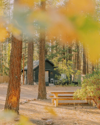 Colorado Lodge photo 5