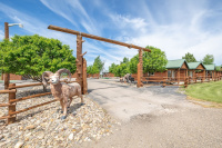 Badlands Frontier Cabins photo 2
