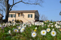 Il Mandorlo - Agriturismo e Azienda Agricola Ferrato photo 3