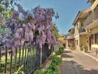 B&B TorreMatta photo 2