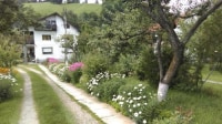 Pensiunea Iulia photo 5
