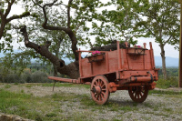 Agriturismo La Posta Reale photo 3