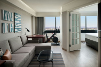 Washington Dulles Marriott Suites photo 4