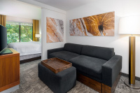 Springhill Suites By Marriott Asheville photo 3