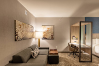 Springhill Suites By Marriott Dallas Mckinney Allen photo 5