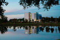 Springhill Suites By Marriott Tampa Suncoast Parkway photo 3