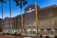 Candlewood Suites Safety Harbor photo 4