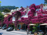 Positano Art Hotel Pasitea photo 5