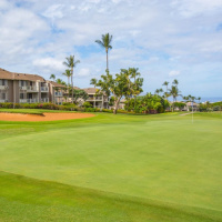 Wailea Grand Champions photo 5