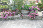 Agriturismo Le Macine photo 2