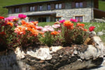 Agriturismo Le Radici photo 3