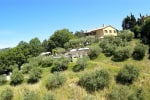 Agriturismo Le Dolci Colline photo 2