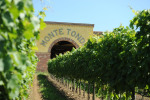 Monte Tondo photo 5