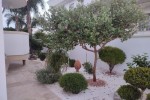Sofia photo 5