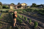 Country House Erba Regina photo 4