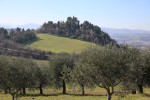 Villa Marietta Country House photo 2