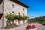 Fattoria Ca' di Fatino photo 4