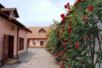 Pension Ela photo 4