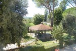Artisti del Cavallo Tourism photo 5